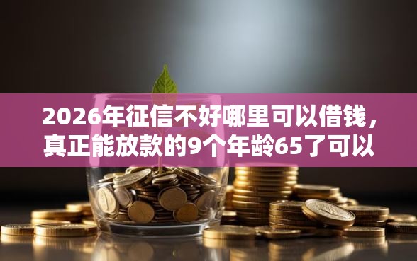 2026年征信不好哪里可以借钱，真正能放款的9个年龄65了可以申请的网贷平台推荐