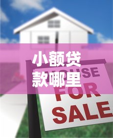 小额贷款哪里最可靠？十大征信花了还能借钱的平台推荐