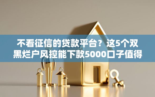 不看征信的贷款平台？这5个双黑烂户风控能下款5000口子值得一试