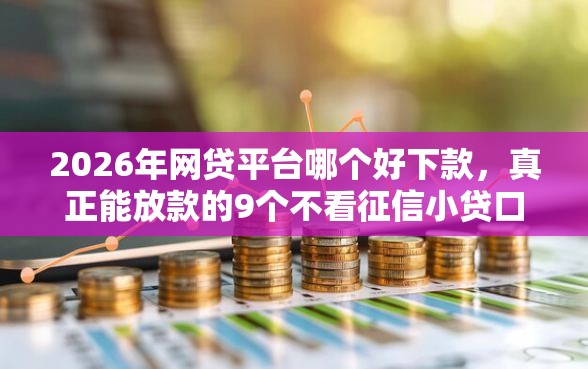 2026年网贷平台哪个好下款，真正能放款的9个不看征信小贷口子推荐