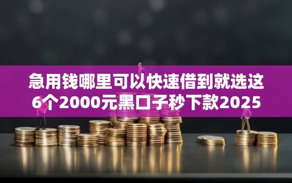 急用钱哪里可以快速借到就选这6个2000元黑口子秒下款2025