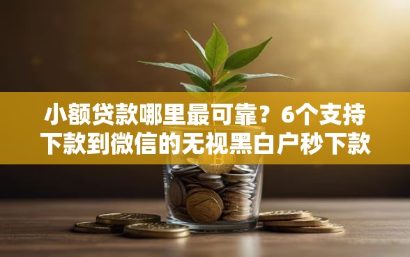 小额贷款哪里最可靠？6个支持下款到微信的无视黑白户秒下款口子软件