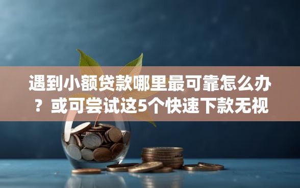 遇到小额贷款哪里最可靠怎么办？或可尝试这5个快速下款无视征信的app
