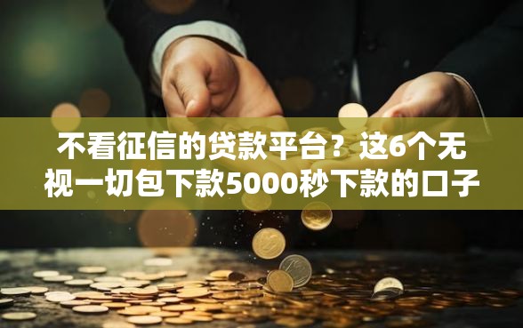 不看征信的贷款平台？这6个无视一切包下款5000秒下款的口子值得一试