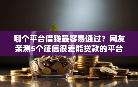 哪个平台借钱最容易通过？网友亲测5个征信很差能贷款的平台盘点