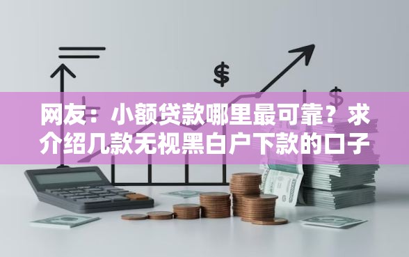 网友：小额贷款哪里最可靠？求介绍几款无视黑白户下款的口子