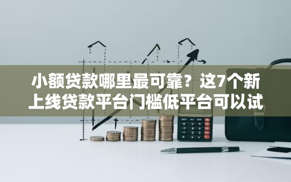小额贷款哪里最可靠？这7个新上线贷款平台门槛低平台可以试试