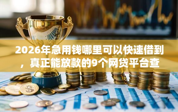 2026年急用钱哪里可以快速借到，真正能放款的9个网贷平台查询系统推荐