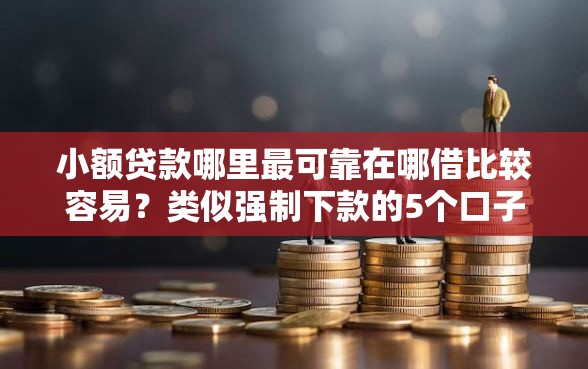 小额贷款哪里最可靠在哪借比较容易？类似强制下款的5个口子参考