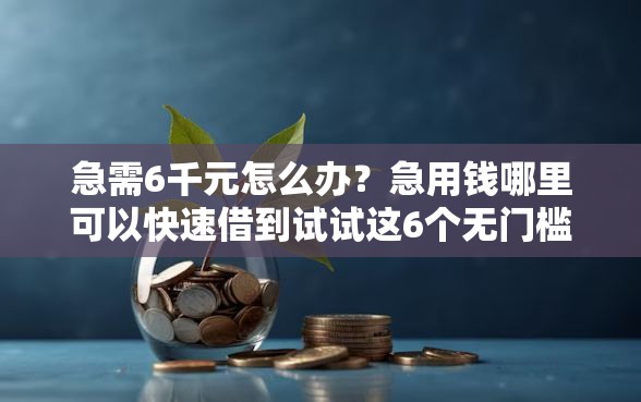 急需6千元怎么办？急用钱哪里可以快速借到试试这6个无门槛平台