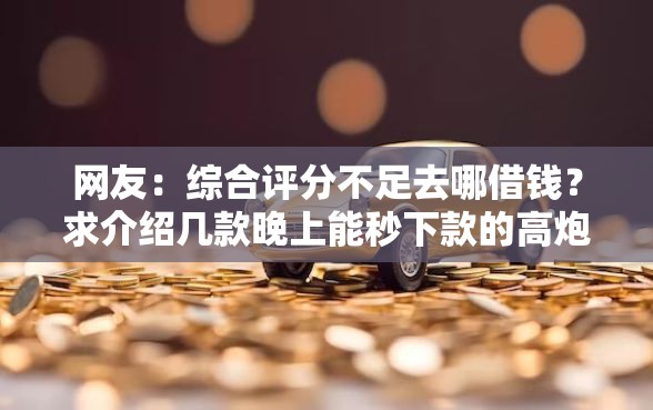 网友：综合评分不足去哪借钱？求介绍几款晚上能秒下款的高炮口子
