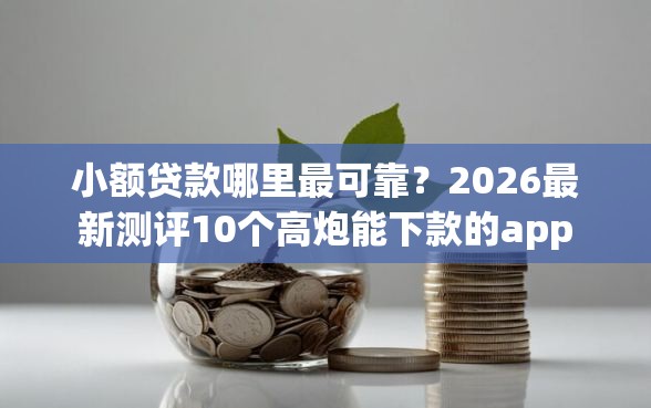 小额贷款哪里最可靠？2026最新测评10个高炮能下款的app