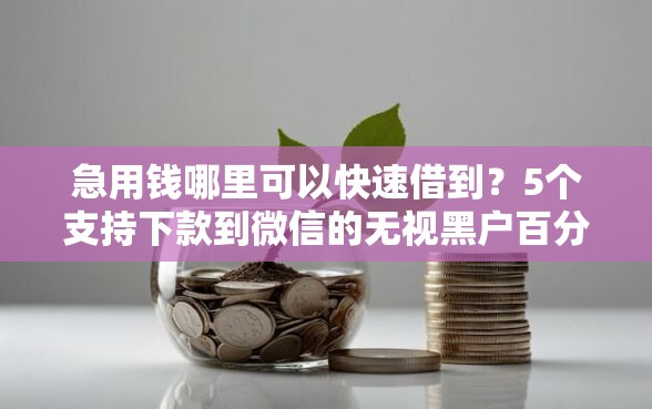 急用钱哪里可以快速借到？5个支持下款到微信的无视黑户百分百下款软件