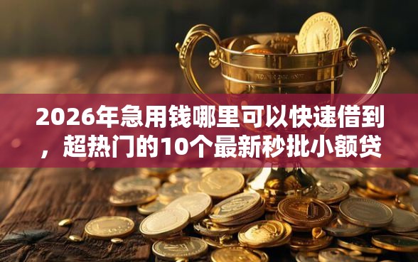 2026年急用钱哪里可以快速借到，超热门的10个最新秒批小额贷款平台推荐