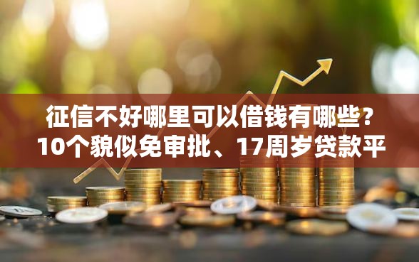 征信不好哪里可以借钱有哪些？10个貌似免审批、17周岁贷款平台合集