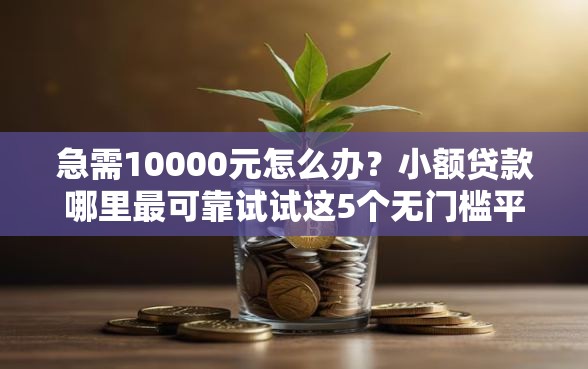 急需10000元怎么办？小额贷款哪里最可靠试试这5个无门槛平台
