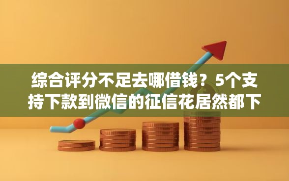 综合评分不足去哪借钱？5个支持下款到微信的征信花居然都下款了的app