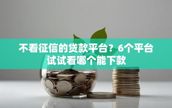 不看征信的贷款平台？6个平台试试看哪个能下款