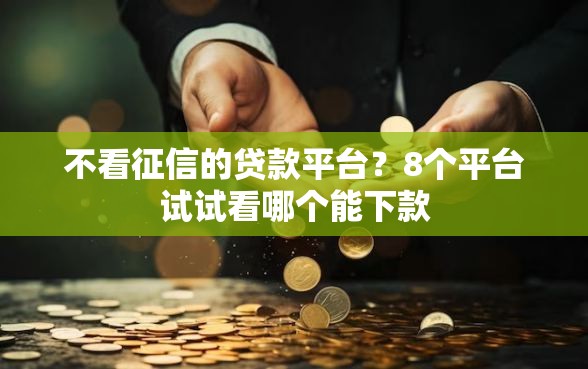 不看征信的贷款平台？8个平台试试看哪个能下款