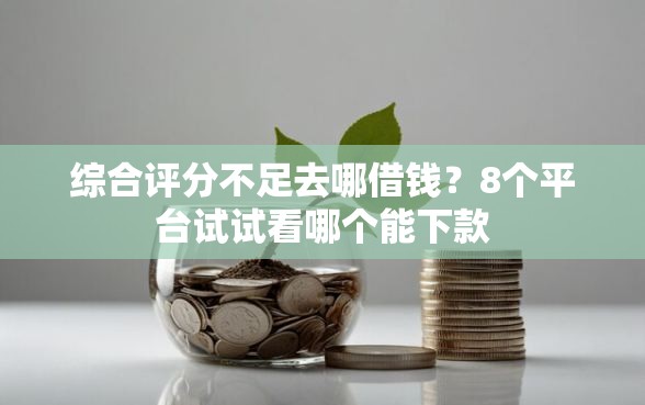 综合评分不足去哪借钱？8个平台试试看哪个能下款