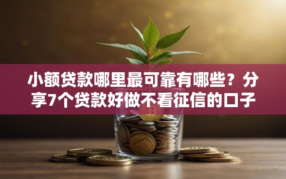 小额贷款哪里最可靠有哪些？分享7个贷款好做不看征信的口子