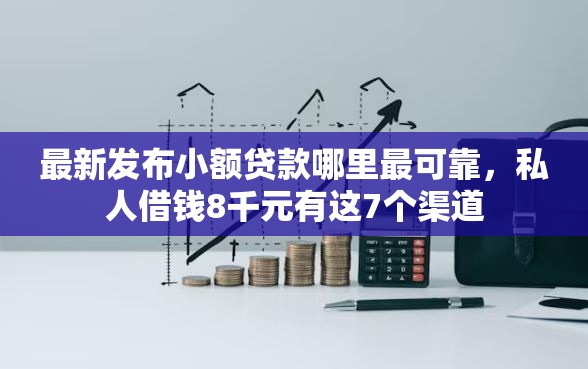 最新发布小额贷款哪里最可靠，私人借钱8千元有这7个渠道