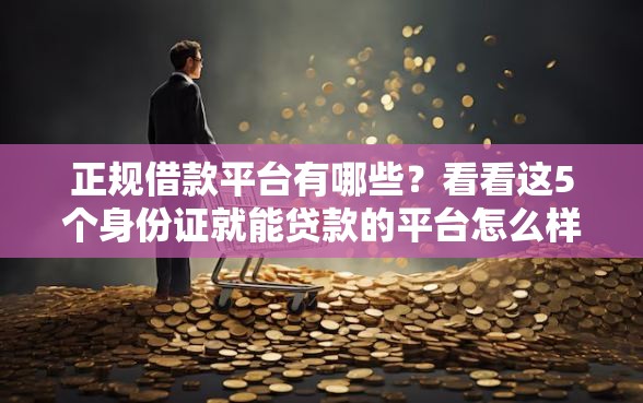 正规借款平台有哪些？看看这5个身份证就能贷款的平台怎么样