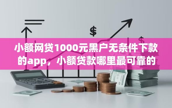 小额网贷1000元黑户无条件下款的app，小额贷款哪里最可靠的5个平台介绍