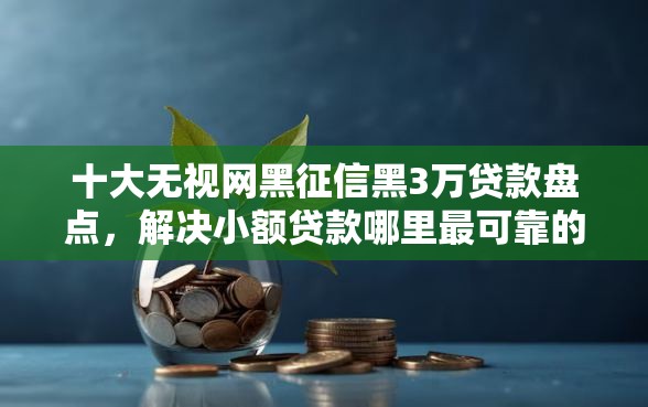十大无视网黑征信黑3万贷款盘点，解决小额贷款哪里最可靠的问题