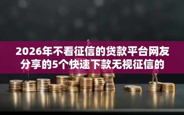 2026年不看征信的贷款平台网友分享的5个快速下款无视征信的平台我觉得不错！