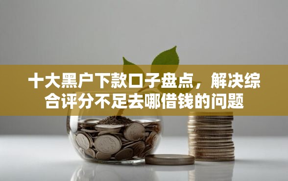 十大黑户下款口子盘点，解决综合评分不足去哪借钱的问题