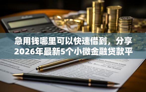 急用钱哪里可以快速借到，分享2026年最新5个小微金融贷款平台