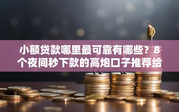 小额贷款哪里最可靠有哪些？8个夜间秒下款的高炮口子推荐给你