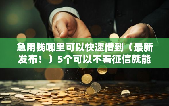 急用钱哪里可以快速借到（最新发布！）5个可以不看征信就能下款的平台