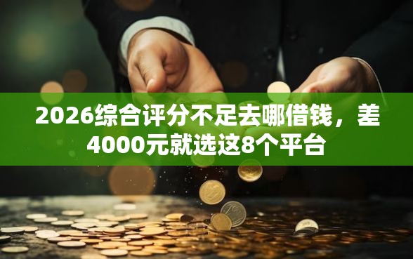2026综合评分不足去哪借钱，差4000元就选这8个平台