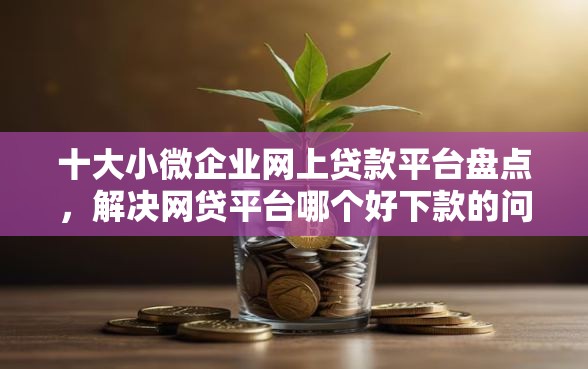 十大小微企业网上贷款平台盘点，解决网贷平台哪个好下款的问题