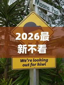 2026最新不看征信的贷款平台（支持支付宝），5个网上贷款p2p平台无私分享