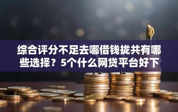 综合评分不足去哪借钱拢共有哪些选择？5个什么网贷平台好下款详解