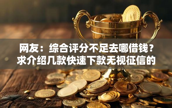 网友：综合评分不足去哪借钱？求介绍几款快速下款无视征信的口子