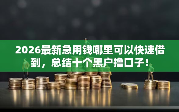 2026最新急用钱哪里可以快速借到，总结十个黑户撸口子！