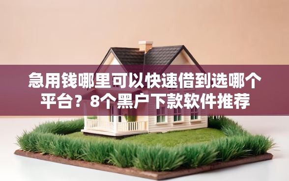 急用钱哪里可以快速借到选哪个平台？8个黑户下款软件推荐