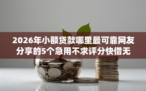 2026年小额贷款哪里最可靠网友分享的5个急用不求评分快借无忧的app我觉得不错！
