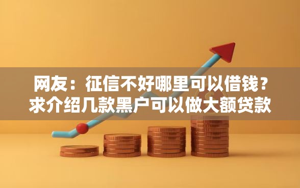 网友：征信不好哪里可以借钱？求介绍几款黑户可以做大额贷款口子