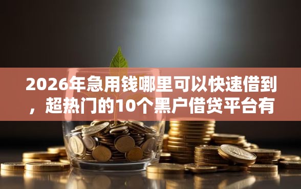 2026年急用钱哪里可以快速借到，超热门的10个黑户借贷平台有哪几家推荐