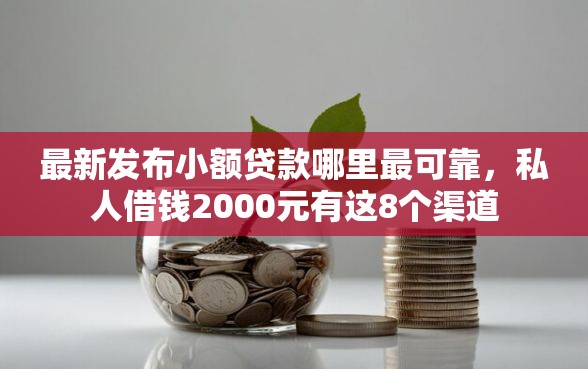 最新发布小额贷款哪里最可靠，私人借钱2000元有这8个渠道
