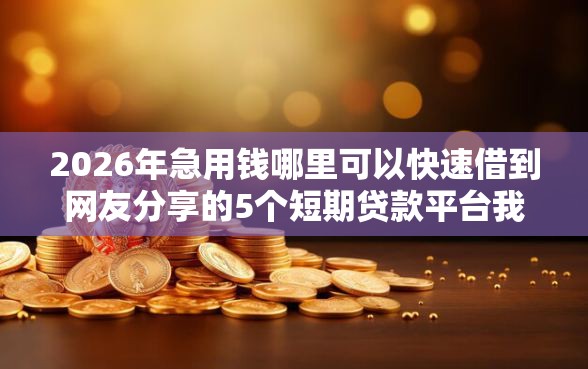 2026年急用钱哪里可以快速借到网友分享的5个短期贷款平台我觉得不错！