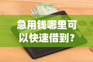 急用钱哪里可以快速借到？2026最新测评10个快速下款无视征信的app