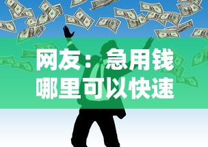 网友：急用钱哪里可以快速借到？求介绍几款网贷比较好的平台