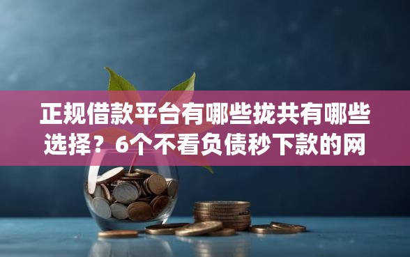 正规借款平台有哪些拢共有哪些选择？6个不看负债秒下款的网贷app详解