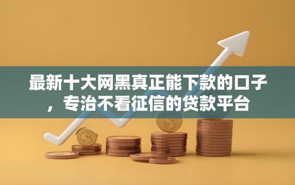 最新十大网黑真正能下款的口子，专治不看征信的贷款平台